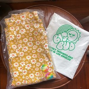 XXS Big Bud Press Lazy Daisy Work Pants in yellow/orange